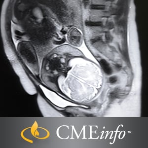 Advances in Fetal and Neonatal Imaging 2017 (Videos)