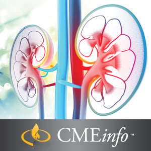 Intensive Review of Nephrology 2017 (Videos)