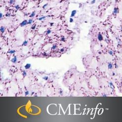 Gastropathology Masters of Pathology Series 2021 (Videos)