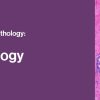 2021 Classic Lectures in Pathology: What You Need to Know: Breast Pathology (Videos)