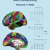 Brain Computations and Connectivity, 2nd Edition (Original PDF from Publisher)