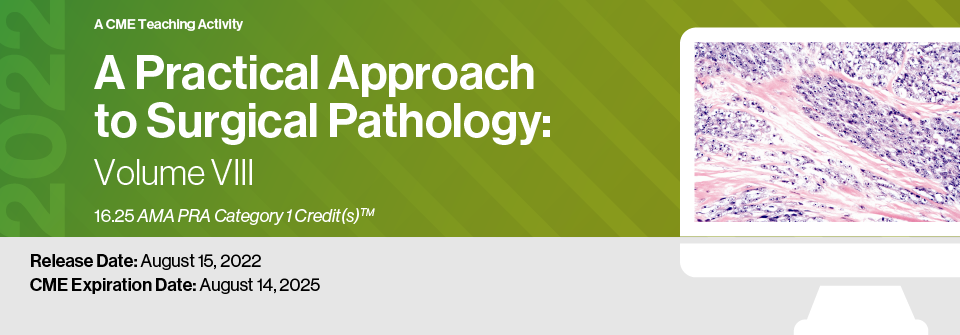 2022 A Practical Approach to Surgical Pathology Volume VIII (Videos)