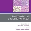 Gynecologic and Obstetric Pathology, An Issue of Surgical Pathology Clinics, E-Book (The Clinics: Internal Medicine) (Original PDF from Publisher)