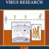 Advances in Virus Research, Volume 118 (EPUB)