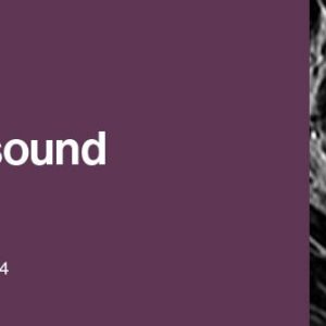 2021 Clinical Ultrasound (Videos)
