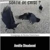B22, sortie de crise ?: Témoignage de Nicolas Deketelaere (French Edition) (EPUB)