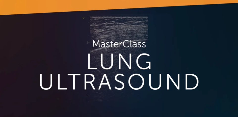 123Sonography Lung Ultrasound MasterClass 2020 (Videos)
