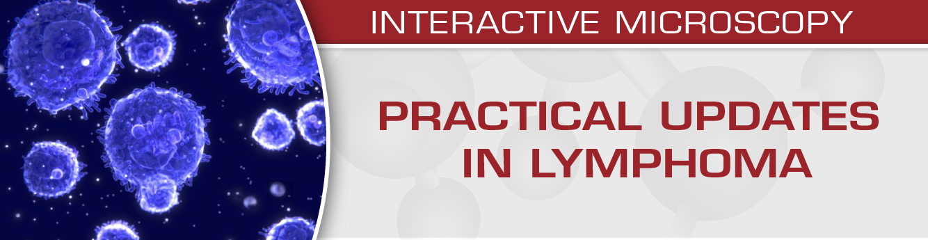 USCAP Practical Updates in Lymphoma 2018 (Videos)