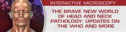 The Brave New World of Head and Neck Pathology: Updates on the WHO and More	2018 (Videos)
