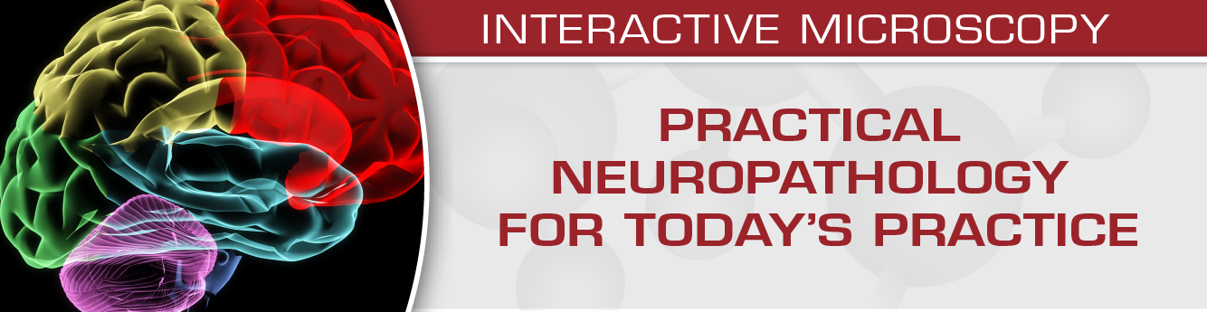 USCAP Practical Neuropathology for Today’s Practice – Interactive Microscopy 2019 (Videos)