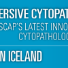 USCAP Immersive Cytopathology Experience ICE in Iceland 2019 (Videos)