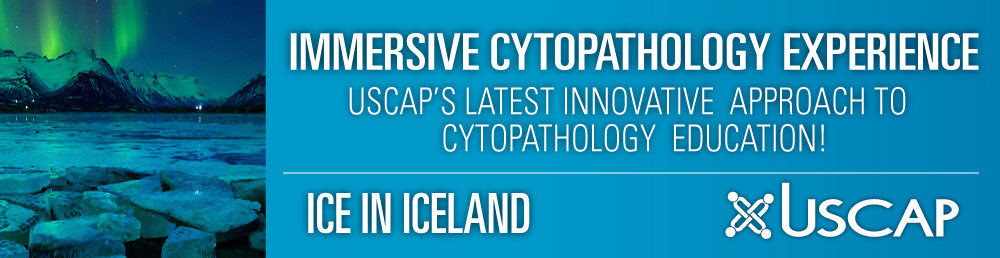 USCAP Immersive Cytopathology Experience ICE in Iceland 2019 (Videos)