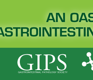 An Oasis of Gastrointestinal Pathology 2020 (Videos)