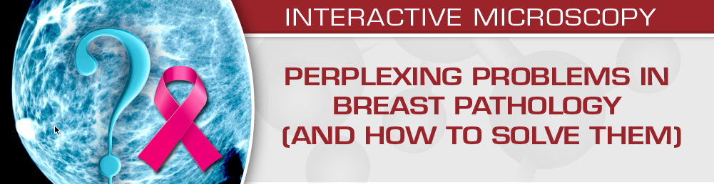 Perplexing Problems in Breast Pathology (and How to Solve them) 2020 (Videos)