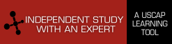 Independent Study with an Expert (Videos)