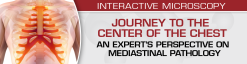 USCAP Journey to the Center of the Chest: An Expert’s Perspective On Mediastinal Pathology 2021 (Videos)
