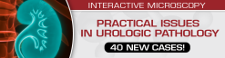 Practical Issues in Urologic Pathology – 40 New Cases!	2021 (Videos)