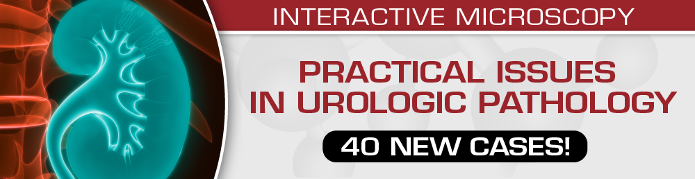 Practical Issues in Urologic Pathology – 40 New Cases! 2021 (Videos)
