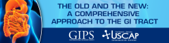 USCAP The Old and The New: A Comprehensive Approach to the GI Tract 2021 (Videos)
