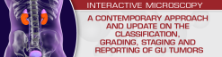 USCAP A Contemporary Approach and Update on the Classification, Grading, Staging and Reporting of GU Tumors 2021 (Videos)