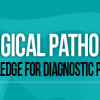 USCAP Gynecological Pathology: Essential Knowledge for Diagnostic Practice 2022 (Videos)