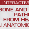 USCAP Bone and Soft Tissue Pathology from Head to Toe: An Anatomical Approach 2022 (Videos)