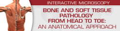 USCAP Bone and Soft Tissue Pathology from Head to Toe: An Anatomical Approach 2022 (Videos)