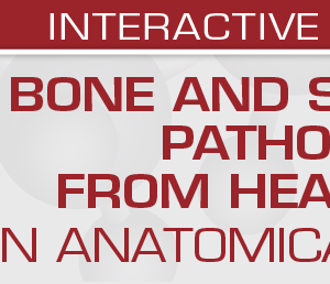 USCAP Bone and Soft Tissue Pathology from Head to Toe: An Anatomical Approach 2022 (Videos)