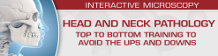 USCAP Head and Neck Pathology: Top to Bottom Training to Avoid the Ups and Downs 2022 (Videos)