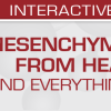 USCAP Mesenchymal Tumors: From Head to Toe (and Everything in Between) 2022 (Videos)