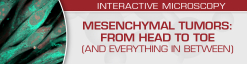 USCAP Mesenchymal Tumors: From Head to Toe (and Everything in Between) 2022 (Videos)