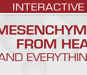 USCAP Mesenchymal Tumors: From Head to Toe (and Everything in Between) 2022 (Videos)