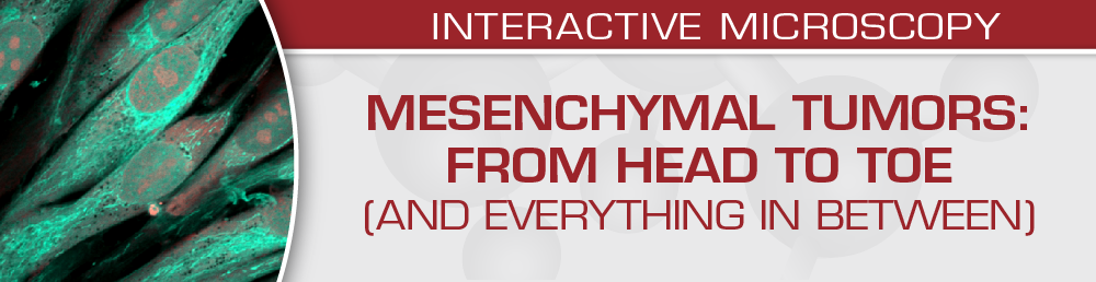 USCAP Mesenchymal Tumors: From Head to Toe (and Everything in Between) 2022 (Videos)