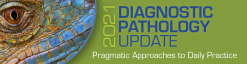 USCAP 2021 Diagnostic Pathology Update: Pragmatic Approaches to Daily Practice (Videos)