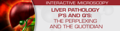 USCAP Liver Pathology P’s and Q’s: The Perplexing and the Quotidian	2022 (Videos)