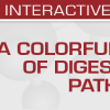 USCAP A Colorful Cornucopia of Digestive Tract Pathology 2022 (Videos)