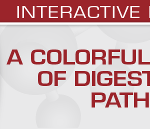 USCAP A Colorful Cornucopia of Digestive Tract Pathology 2022 (Videos)