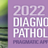 2022 Diagnostic Pathology Update: Pragmatic Approaches to Daily Practice (Videos)