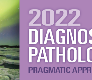 2022 Diagnostic Pathology Update: Pragmatic Approaches to Daily Practice (Videos)