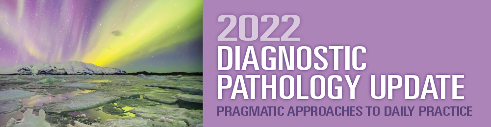 2022 Diagnostic Pathology Update: Pragmatic Approaches to Daily Practice (Videos)