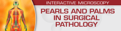 USCAP Pearls and Palms in Surgical Pathology 2022 (Videos)
