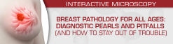 USCAP Breast Pathology for All Ages: Diagnostic Pearls and Pitfalls (And How to Stay Out of Trouble) 2022 (Videos)