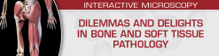 USCAP Dilemmas and Delights in Bone and Soft Tissue Pathology 2023 (Videos)