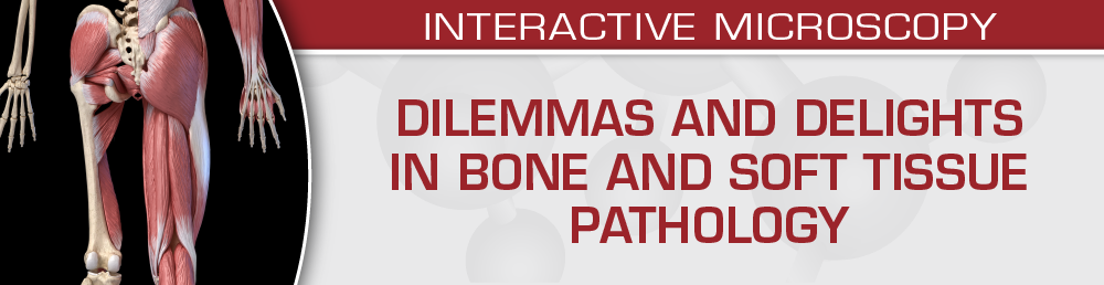 USCAP Dilemmas and Delights in Bone and Soft Tissue Pathology 2023 (Videos)