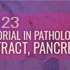 USCAP Tutorial In Pathology of the GI Tract, Pancreas, and Liver 2023 (Videos)