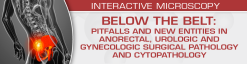 USCAP BELOW THE BELT: Pitfalls and New Entities in Anorectal, Urologic and Gynecologic Surgical Pathology and Cytopathology 2023 (Videos)