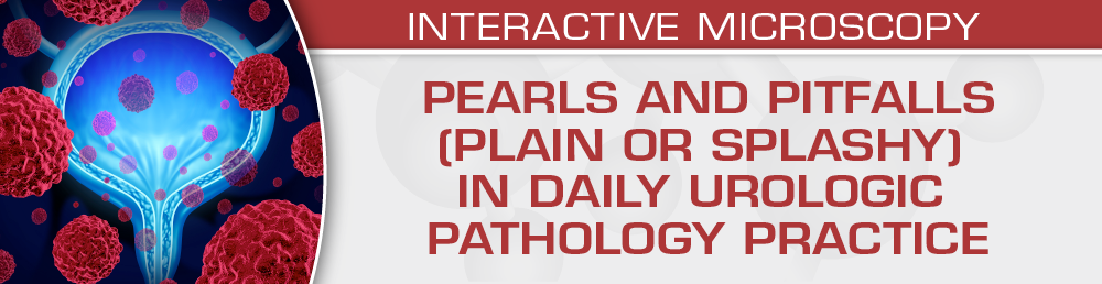 USCAP Pearls and Pitfalls (Plain or Splashy) in Daily Urologic Pathology Practice 2023 (Videos)