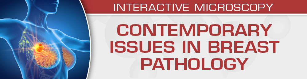 USCAP 2023 Contemporary Issues in Breast Pathology (Videos)