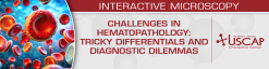 USCAP Challenges in Hematopathology: Tricky Differentials and Diagnostic Dilemmas (Videos + PDFs)