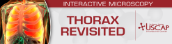 USCAP Thorax Revisited 2026 (Videos + PDFs)